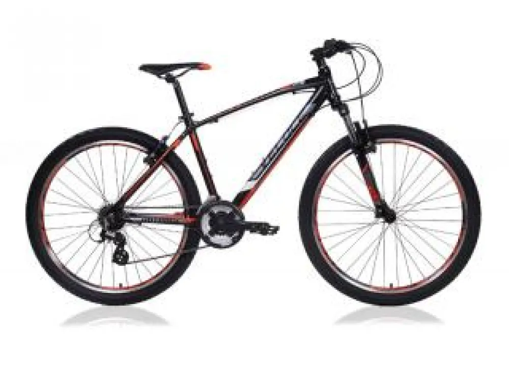 Electric tandem